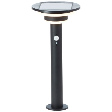 Brilliant - LED-aurinkolamppu anturilla GARVINA LED/3W/3,7V 45 cm IP44 musta