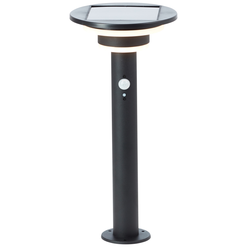 Brilliant - LED-aurinkolamppu anturilla GARVINA LED/3W/3,7V 45 cm IP44 musta