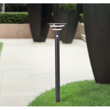 Brilliant - LED-aurinkolamppu anturilla GARVINA LED/3W/3,7V 85 cm IP44 musta