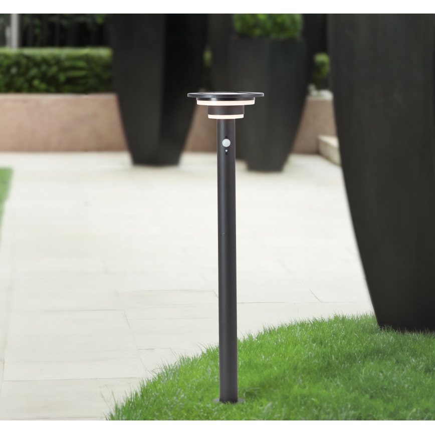 Brilliant - LED-aurinkolamppu anturilla GARVINA LED/3W/3,7V 85 cm IP44 musta
