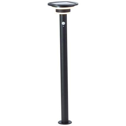 Brilliant - LED-aurinkolamppu anturilla GARVINA LED/3W/3,7V 85 cm IP44 musta