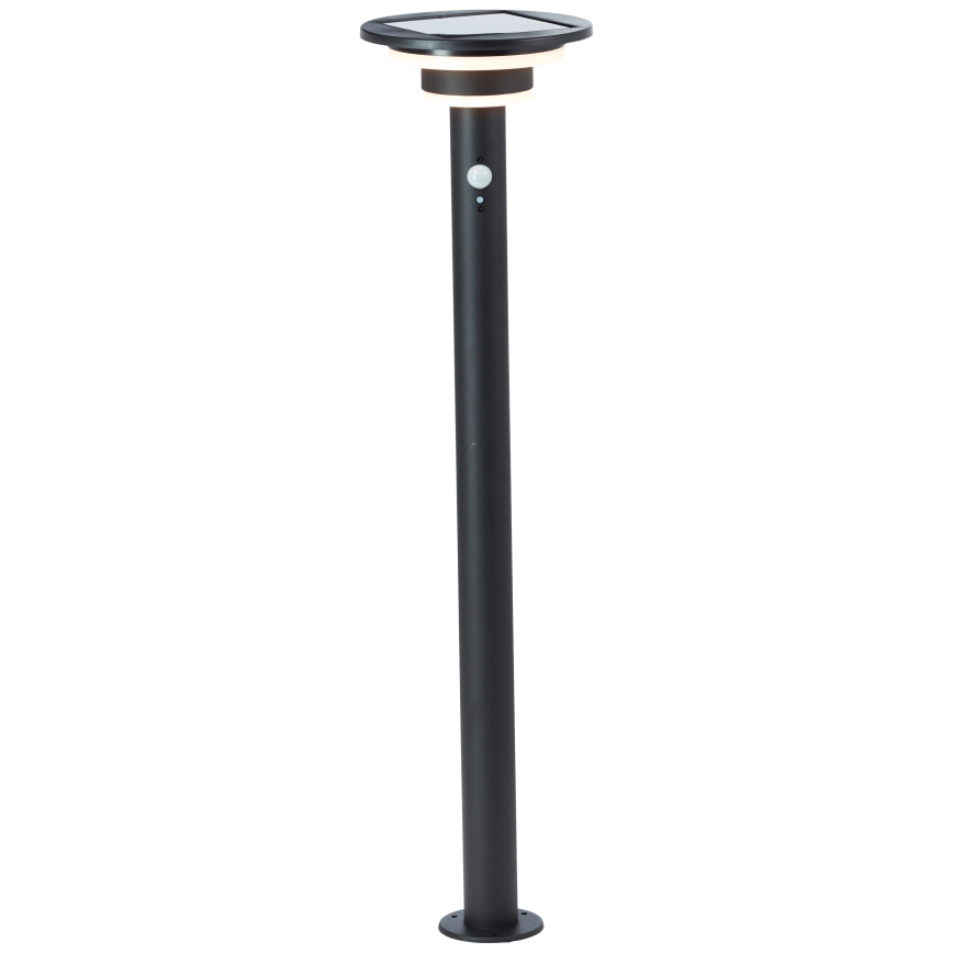 Brilliant - LED-aurinkolamppu anturilla GARVINA LED/3W/3,7V 85 cm IP44 musta