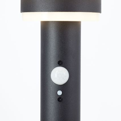 Brilliant - LED-aurinkolamppu anturilla GARVINA LED/3W/3,7V 85 cm IP44 musta