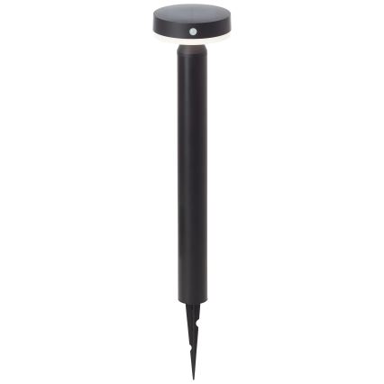 Brilliant - LED-aurinkolamppu anturilla MAGUA LED/4W/3,7V 50,2 cm IP44 musta