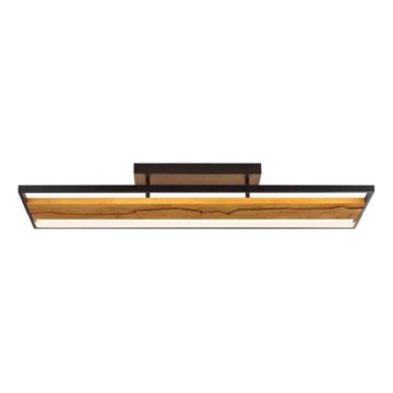 Brilliant - LED-himennettävä kattovalaisin THUNDER LED/42W/230V mänty