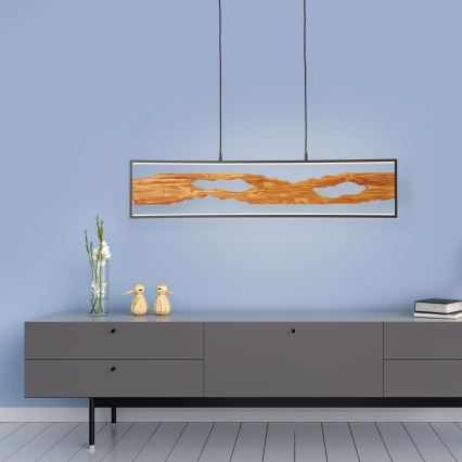 Brilliant - LED-kattokruunu johdossa CHAUMONT LED/20W/230V mänty