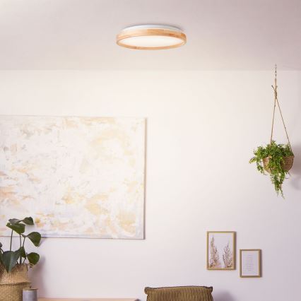 Brilliant - LED-kattovalaisin ALSON LED/26W/230V 3000/4500K halkaisija 39,5 cm kumiviikuna - FSC sertifioitu