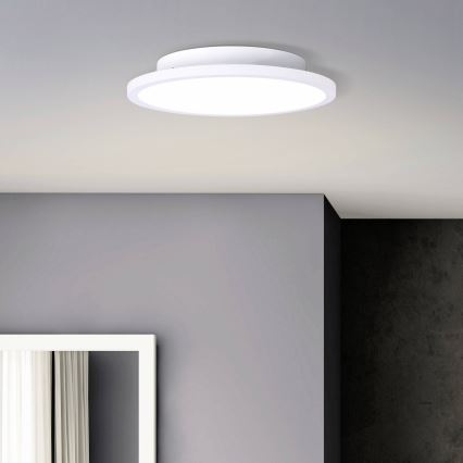 Brilliant - LED-kattovalaisin BUFFI LED/13W/230V halkaisija 25 cm 2700K