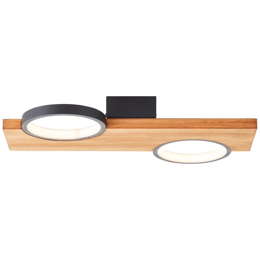 Brilliant - LED-kattovalaisin CHEESY LED/14W/230V mänty