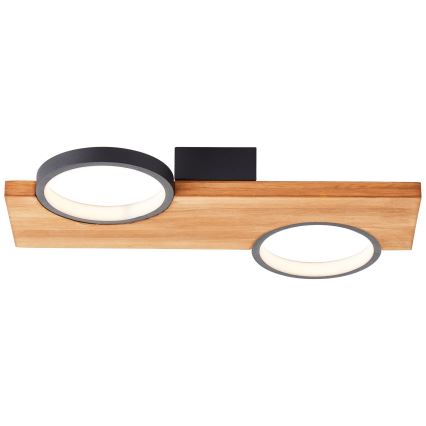 Brilliant - LED-kattovalaisin CHEESY LED/14W/230V mänty