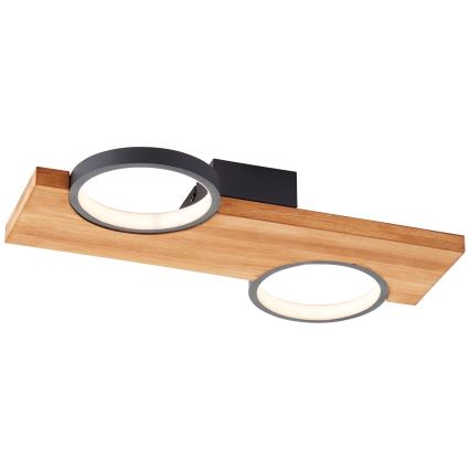 Brilliant - LED-kattovalaisin CHEESY LED/14W/230V mänty