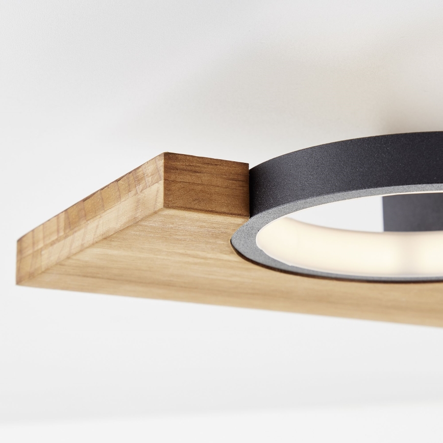 Brilliant - LED-kattovalaisin CHEESY LED/14W/230V mänty
