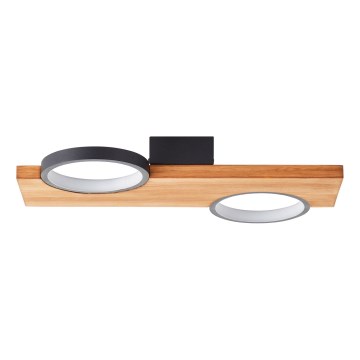 Brilliant - LED-kattovalaisin CHEESY LED/14W/230V mänty - FSC sertifioitu