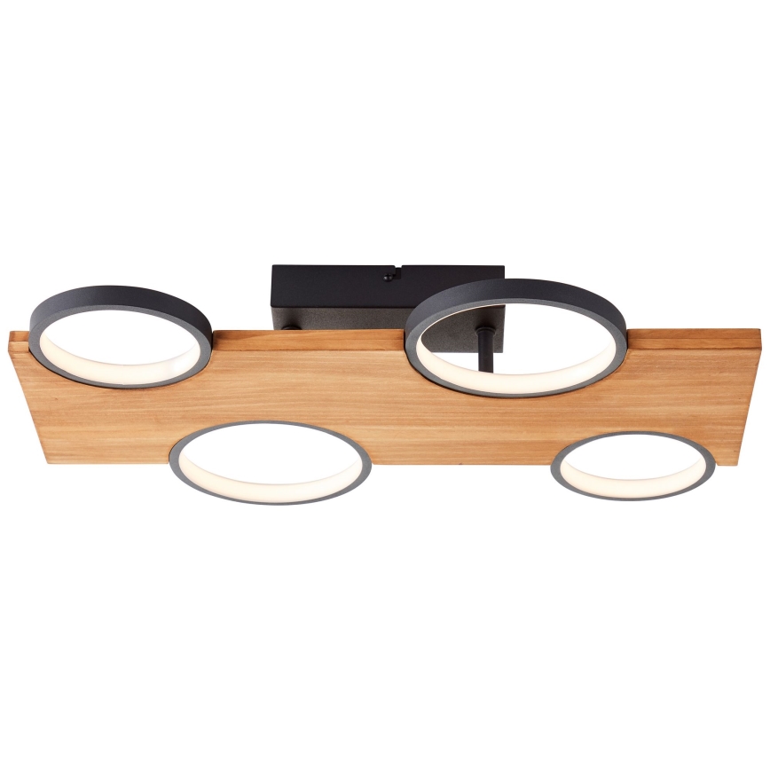 Brilliant - LED-kattovalaisin CHEESY LED/28W/230V mänty - FSC sertifioitu