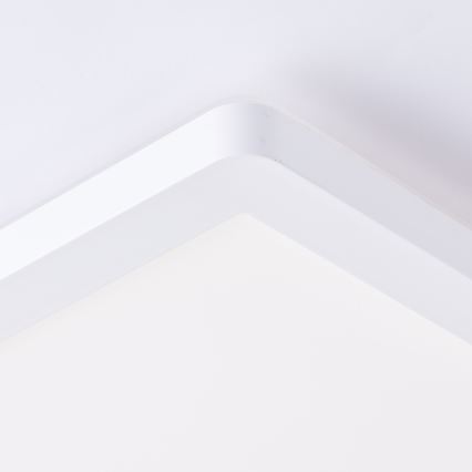Brilliant - LED-kattovalaisin MILTON LED/24W/230V 42x42 cm valkoinen