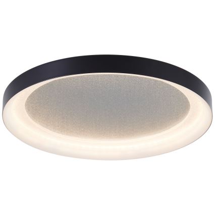 Brilliant - LED-kattovalaisin QUITO LED/24W/230V 3000K halkaisija 33 cm musta