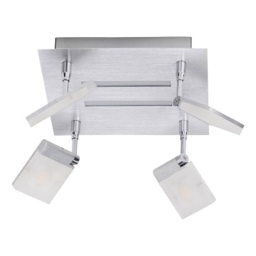 Brilliant - LED-kohdevalaisin PLAXICO 4xLED/6W/230V