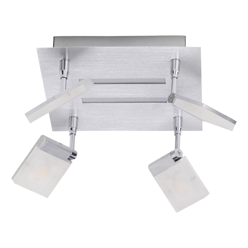 Brilliant - LED-kohdevalaisin PLAXICO 4xLED/6W/230V