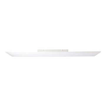 Brilliant - LED-paneeli CHARLA LED/40W/230V 29,5x119,5 cm 2700K
