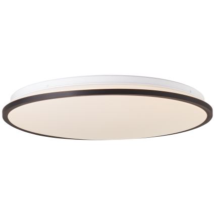 Brilliant - LED RGBW Himmennettävä kattovalo HEIDA LED/30W/230V 3000-6500K + kauko-ohjaus
