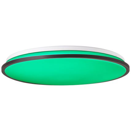 Brilliant - LED RGBW Himmennettävä kattovalo HEIDA LED/30W/230V 3000-6500K + kauko-ohjaus