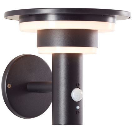 Brilliant - LED-seinäaurinkovalaisin anturilla GARVINA LED/3W/3,7V IP44 musta