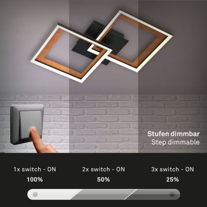 Brilo - LED-himmennyskattokruunu FRAME 2xLED/11W/230V