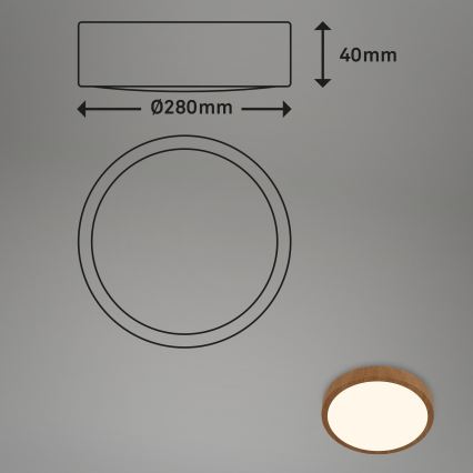 Brilo - LED-kattovalaisin RUNA LED/12W/230V