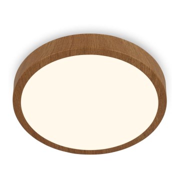 Brilo - LED-kattovalaisin RUNA LED/24W/230V