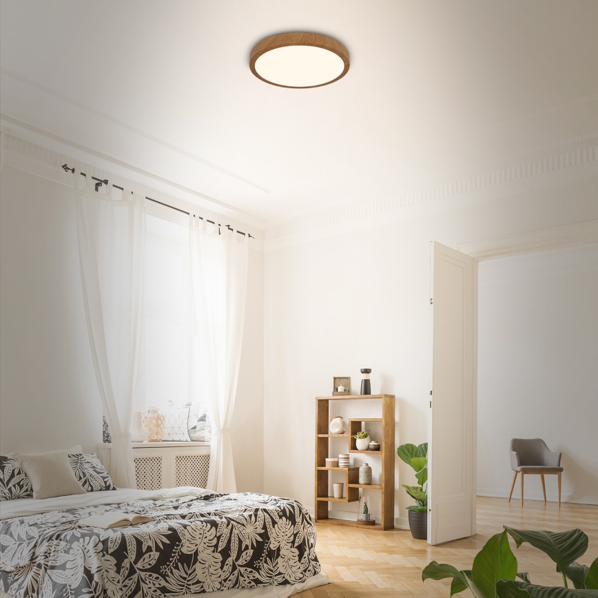 Brilo - LED-kattovalaisin RUNA LED/24W/230V