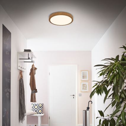 Brilo - LED-kattovalaisin RUNA LED/24W/230V