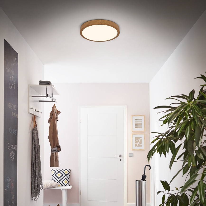 Brilo - LED-kattovalaisin RUNA LED/24W/230V