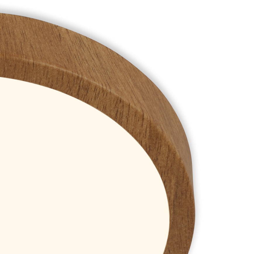 Brilo - LED-kattovalaisin RUNA LED/24W/230V