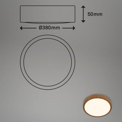 Brilo - LED-kattovalaisin RUNA LED/24W/230V