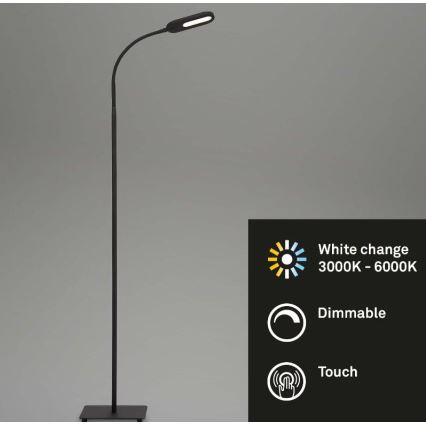 Briloner 1297-015 - LED Himmennettävä joustava lattialamppu LED/6,6W/230V 3000K/4000K/6000K