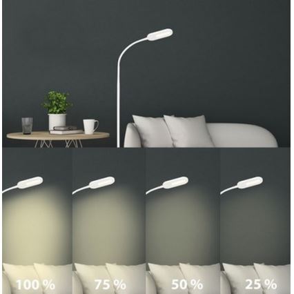 Briloner 1297-016 - LED Himmennettävä kosketus lattialamppu LED/8W/230V 3000/4000/6000K