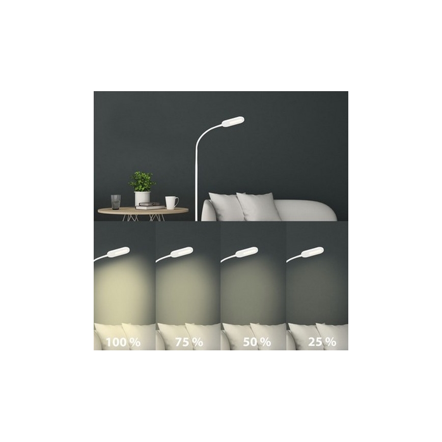 Briloner 1297-016 - LED Himmennettävä kosketus lattialamppu LED/8W/230V 3000/4000/6000K