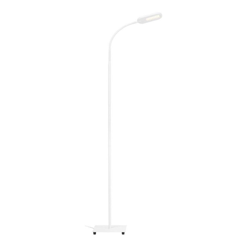 Briloner 1297-016 - LED Himmennettävä kosketus lattialamppu LED/8W/230V 3000/4000/6000K