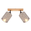 Briloner 2078-021 - Kohdevalo SPOTLIGHT 2xE27/25W/230V beige