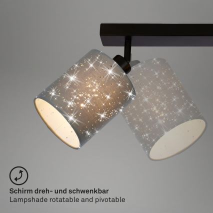 Briloner 2078-034 - Kohdevalo SPOTLIGHT 3xE27/25W/230V harmaa/musta