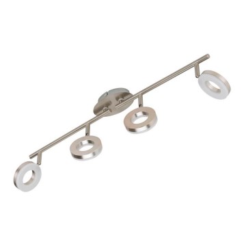 Briloner 2749-042 - LED-kohdevalaisin CIRCLE 4xLED/4W/230V