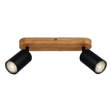 Briloner 2922-025 - Kohdevalo SPOT 2xGU10/9W/230V