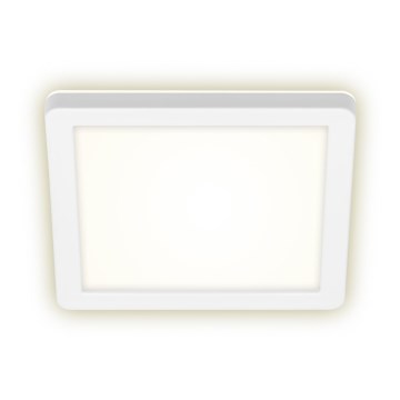 Briloner 3010-016 - LED Kattovalaisin LED/8W/230V 19x19 cm valkoinen IP44