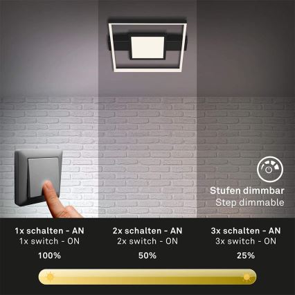 Briloner 3028-015 - Himmennettävä LED-kattovalaisin FRAME LED/38W/230V