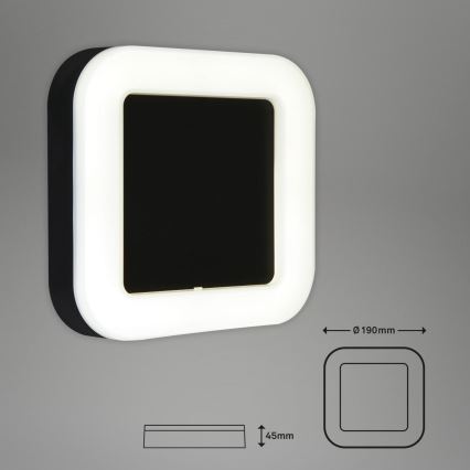 Briloner 3034-015 - LED-ulkoseinävalaisin LED/15W/230V 4000K