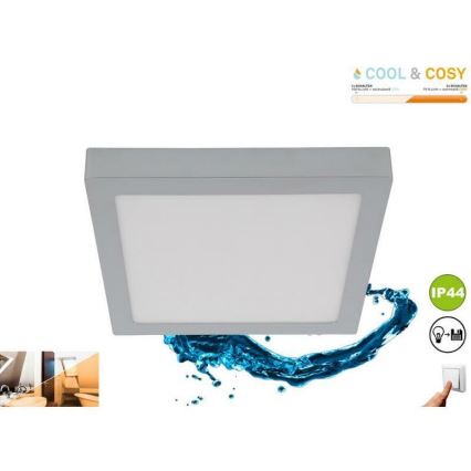 Briloner 3142-018 - LED-kattovalaisin kylpyhuoneeseen COOL&COSY LED/21W/230V 2700/4000K IP44