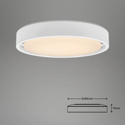 Briloner 3227-016 - LED RGB Himmennysvalo anturilla TALENA LED/24W/230V valkoinen + kauko-ohjaus