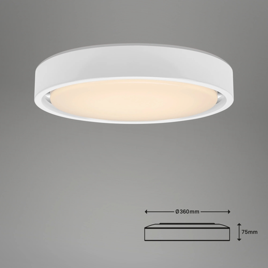 Briloner 3227-016 - LED RGB Himmennysvalo anturilla TALENA LED/24W/230V valkoinen + kauko-ohjaus