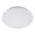 Briloner 3380-116 - LED Himmennettävä kattovalo STARRY SKY LED/18W/230V 2700/4000K