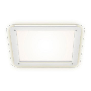 Briloner 3397-016 - LED-kattovalaisin FREE LED/22W/230V